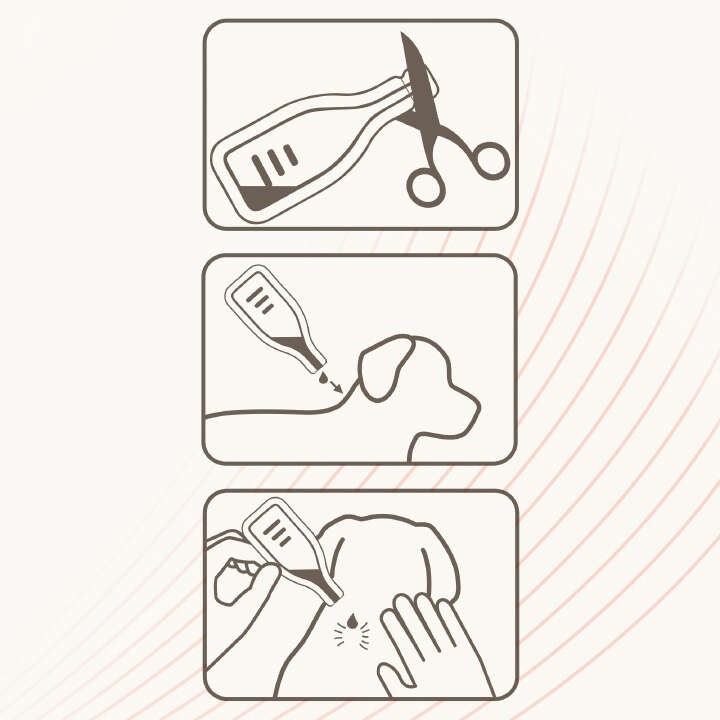 beaphar VETOplus SPOT-ON für mittelgroße Hunde (15-30 kg)